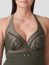 Aracruz C-G Plunge Swimsuit