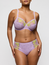 Ixia Full Briefs - Wisteria