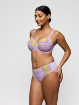 Ixia Full Briefs - Wisteria