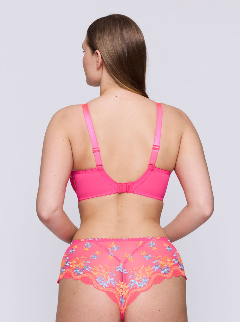 Cala Luna Plunge Bra - Blogger Pink