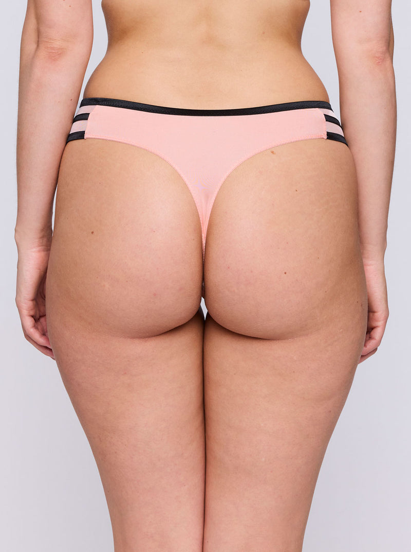 Eraclea Thong - Parfait