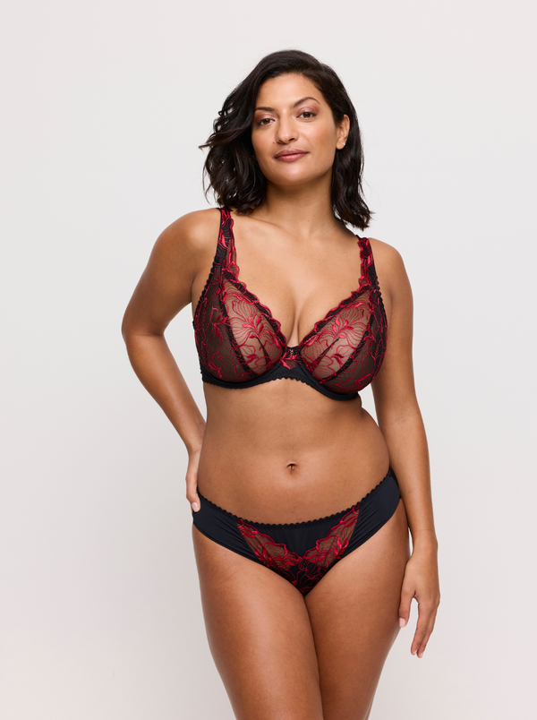 Springdale Rio Briefs - Black Rose