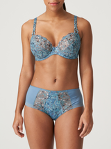 Alalia Full Briefs - Autumn Blue
